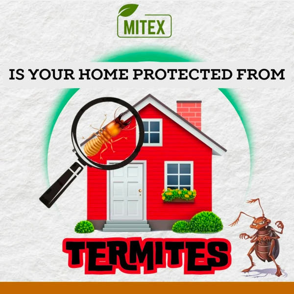 Termite Killer Spray - Instant & Plant-Based Home Protection (Pack of 3)